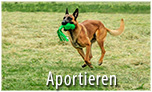 Aportieren