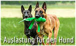 hundesport