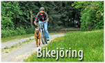 Bikejöring